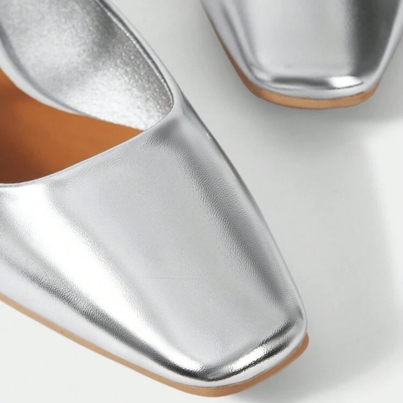 Silver Flats - Picture 7 of 8